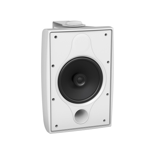 TANNOY DVS 6T WH фото 2